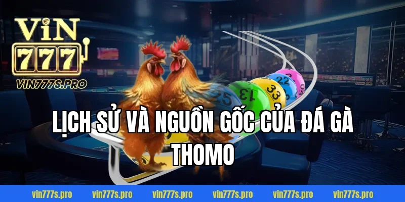 ĐÁ GÀ THOMO VIN777 - CƠ HỘI GIÀNH CHIẾN THẮNG CHO KÊ THỦ 2 Lịch sử và nguồn gốc của đá gà Thomo