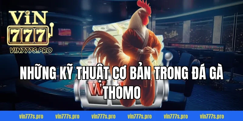 ĐÁ GÀ THOMO VIN777 - CƠ HỘI GIÀNH CHIẾN THẮNG CHO KÊ THỦ 3 Những kỹ thuật cơ bản trong đá gà Thomo
