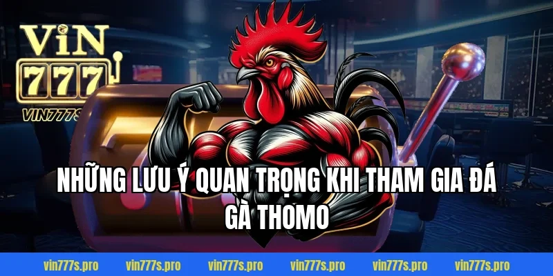 ĐÁ GÀ THOMO VIN777 - CƠ HỘI GIÀNH CHIẾN THẮNG CHO KÊ THỦ 6 Những lưu ý quan trọng khi tham gia đá gà Thomo